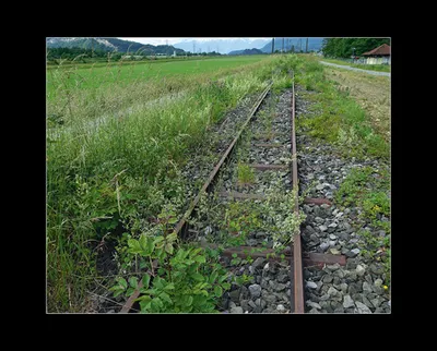 umschlag